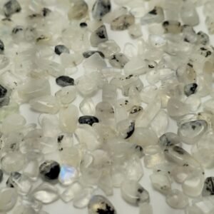 Shell Stone Traslúcido