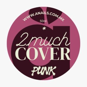 2 Much Cover Punk