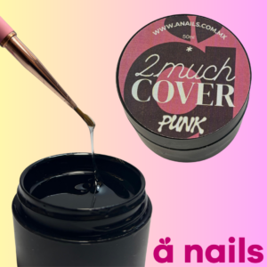 2 Much Cover Punk